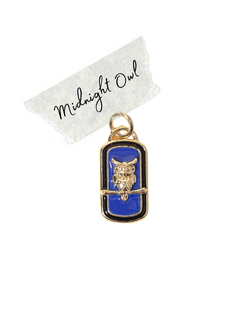 Midnight Owl Charm