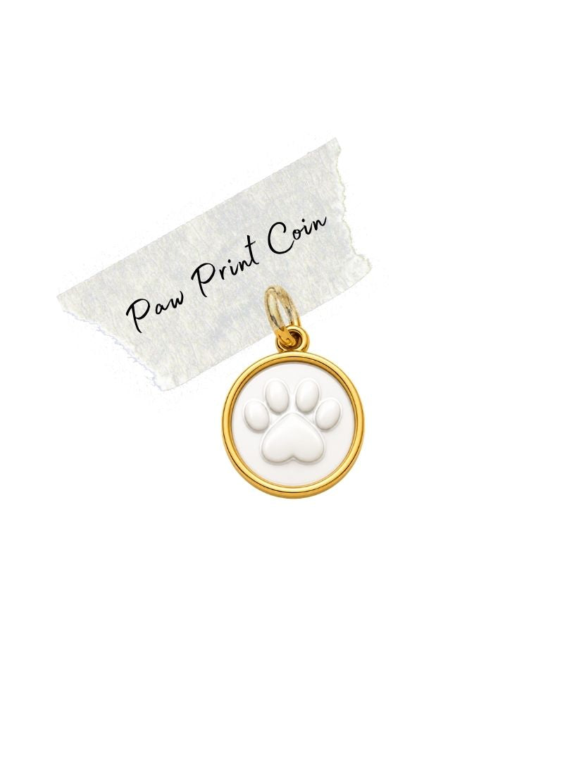 Paw Print Coin Charm