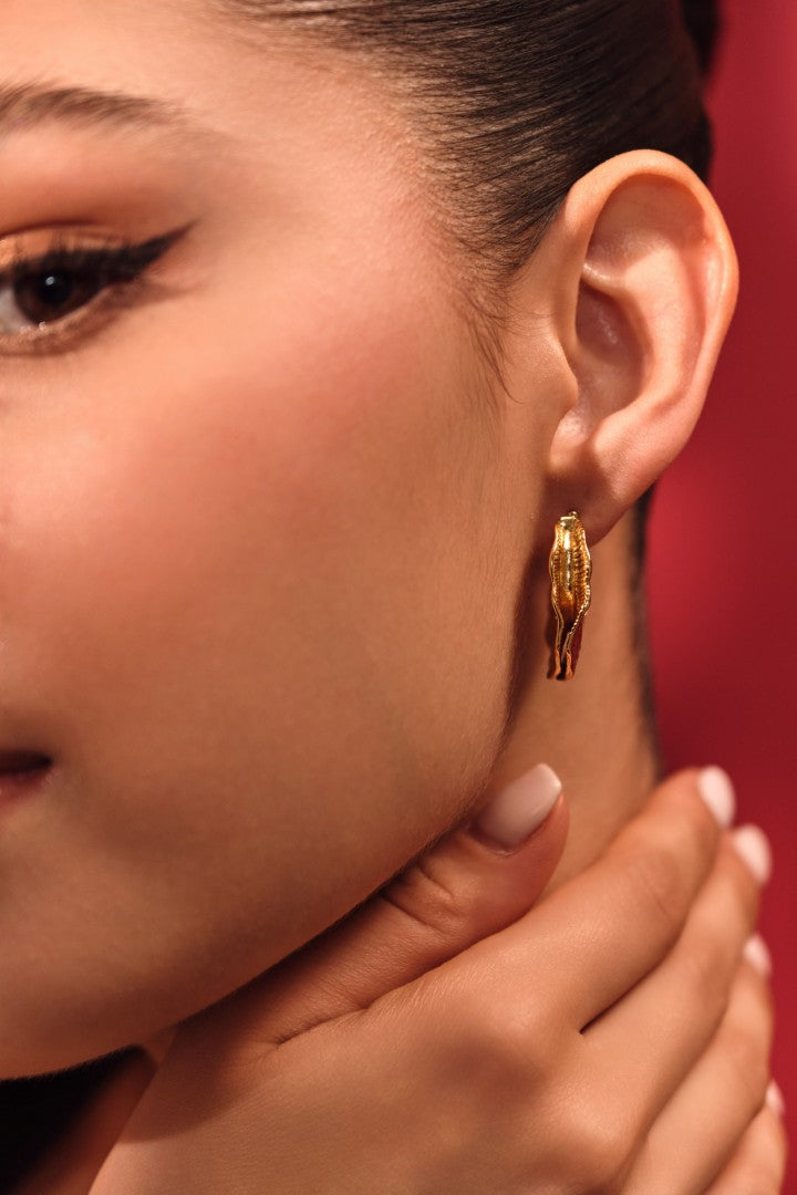 Terra Texture Hoops